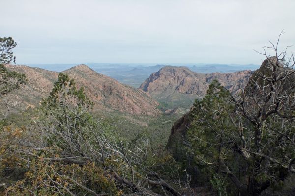 DSCF8258.JPG