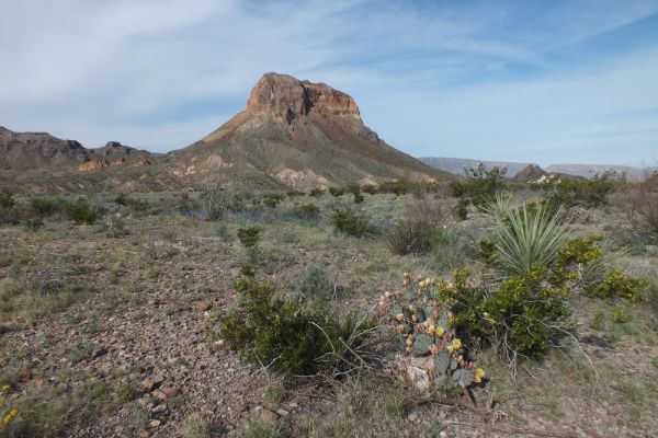 DSCF8364.JPG