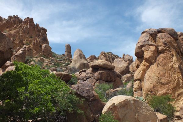 DSCF8418.JPG