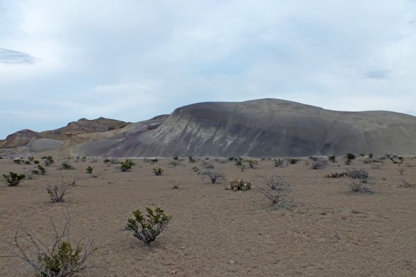 DSCF8447.JPG