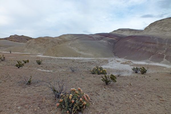 DSCF8449.JPG