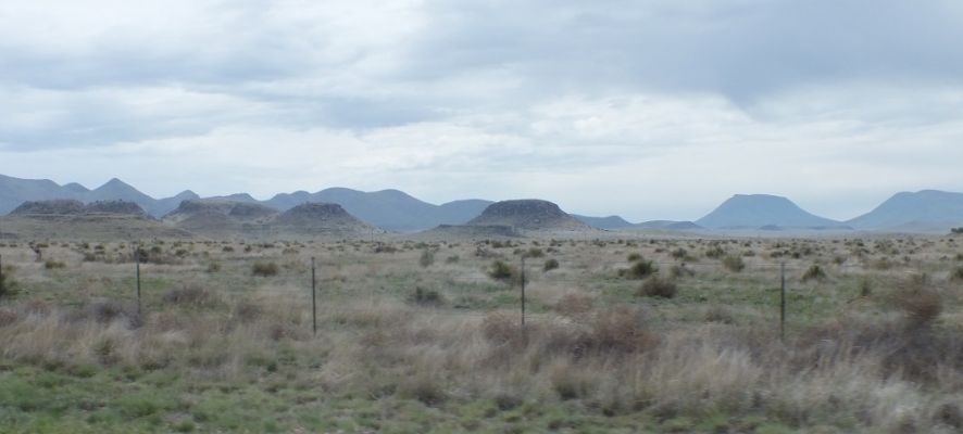 DSCF8496.JPG