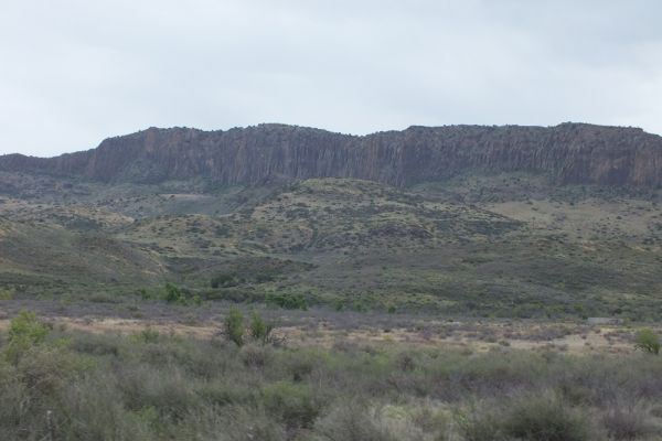 DSCF8512.JPG