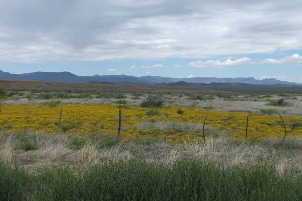 DSCF8514.JPG