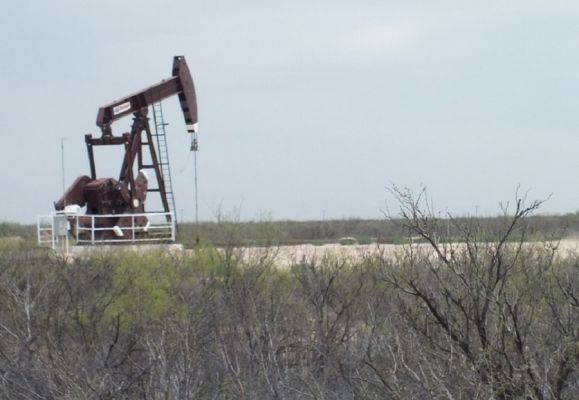 DSCF8518.JPG