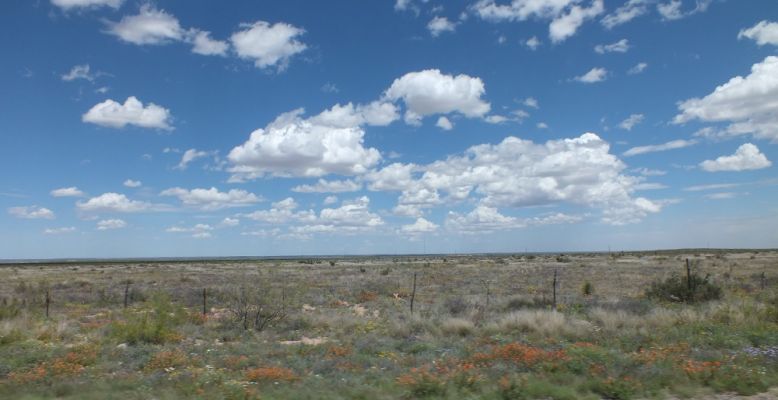 DSCF8519.JPG