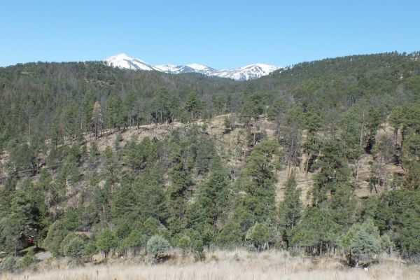 DSCF8577.JPG