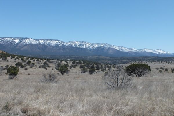 DSCF8590.JPG
