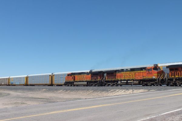 DSCF8605.JPG