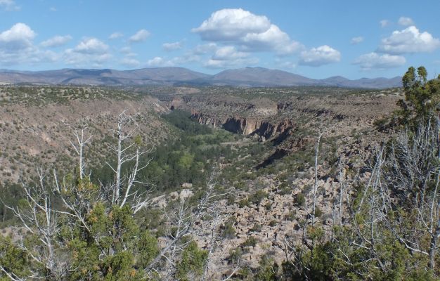 DSCF8688.JPG