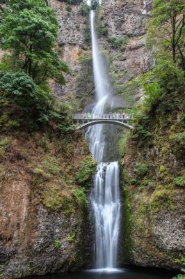 small_IMG_2137.jpg