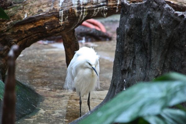 small_IMG_3085.jpg