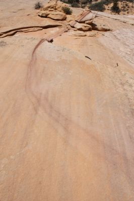 small_IMG_4109.jpg