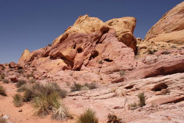 small_IMG_5829.jpg