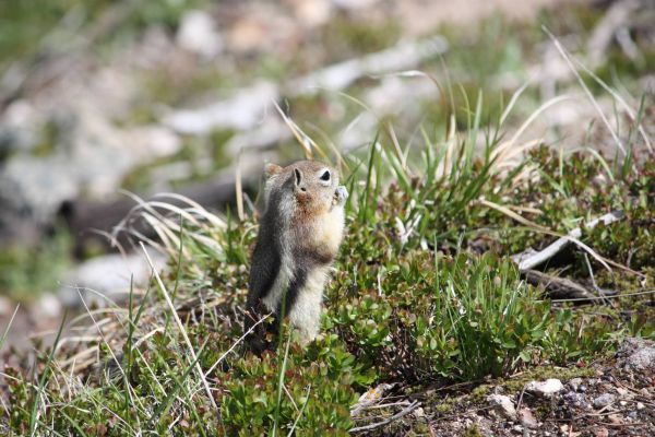 small_IMG_9054.jpg