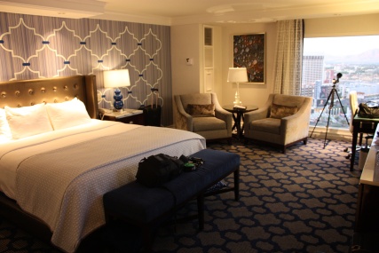 small_10_-_Vegas_-_IMG_5916.jpg
