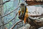 small_IMG_2981.jpg