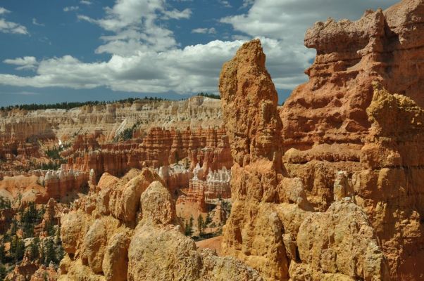 Bryce Canyon N.P.
