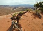 Canyonlands N.P.