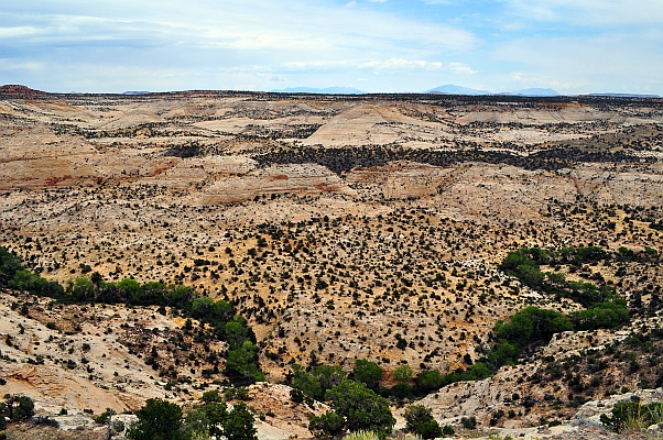 DSC_0429p.jpg