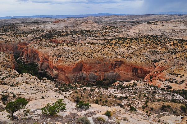 DSC_0435p.jpg