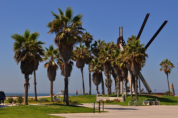 DSC_1563p.jpg