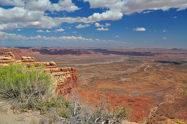DSC_1646.jpg