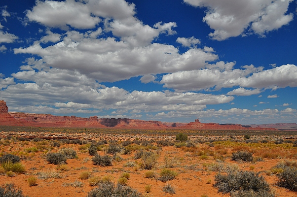 DSC_1691p.jpg