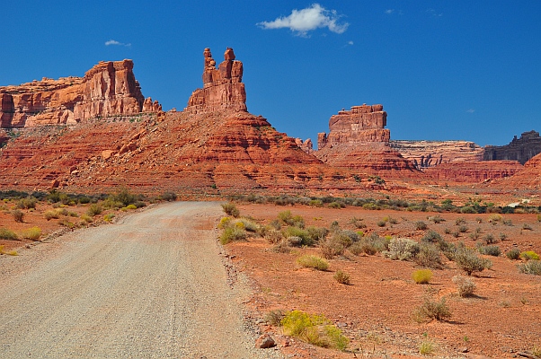 DSC_1714p.jpg