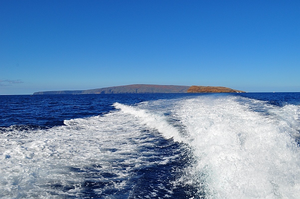 DSC_2170.jpg