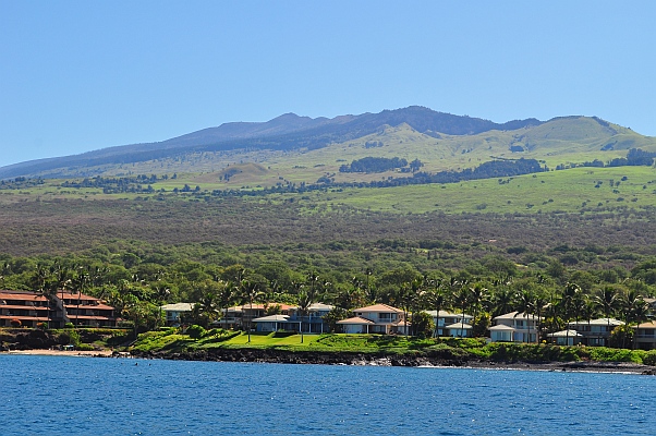 DSC_2183.jpg