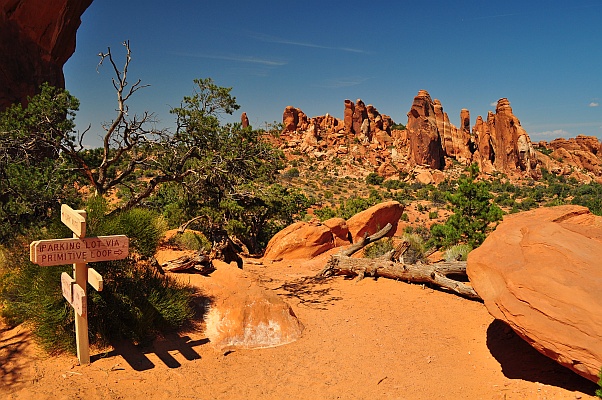 DSC_2253.jpg