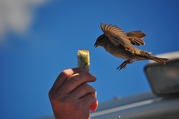 DSC_2253~0.jpg