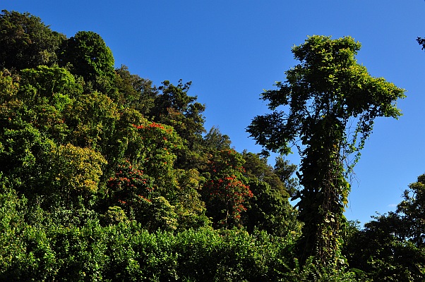 DSC_2713.jpg