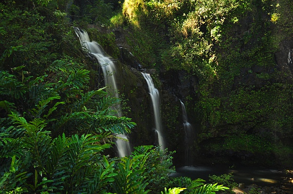 DSC_2795.jpg