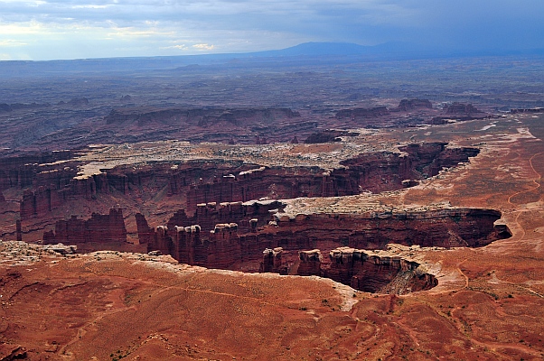 DSC_2915p.jpg