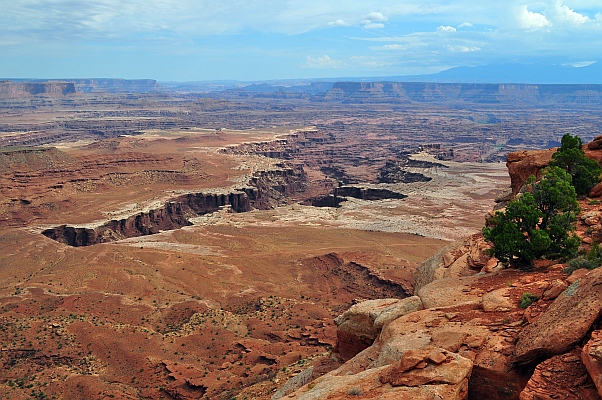 DSC_3037p.jpg