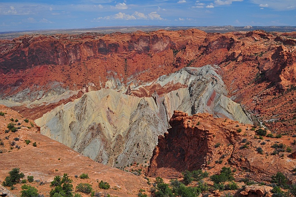 DSC_3099p.jpg