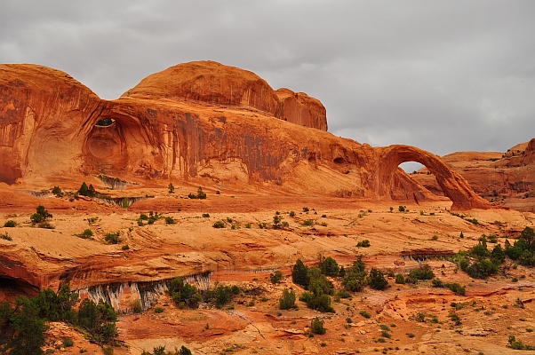 DSC_3204p.jpg