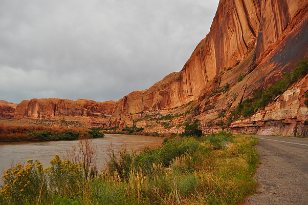 DSC_3309p.jpg