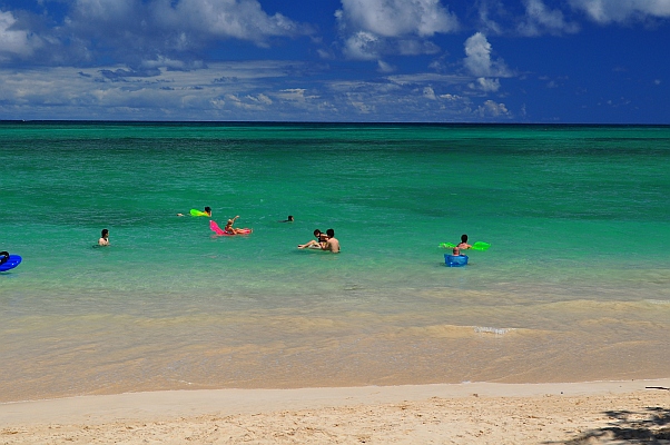 DSC_3350.jpg