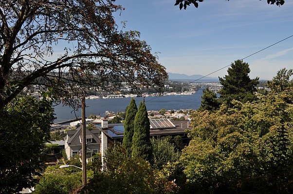 DSC_3508.jpg