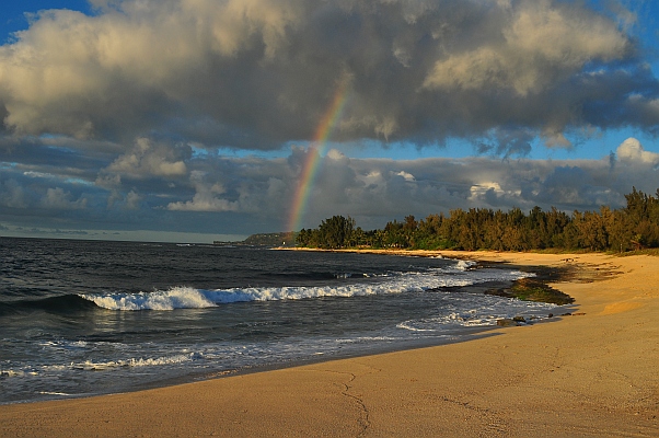 DSC_3579.jpg