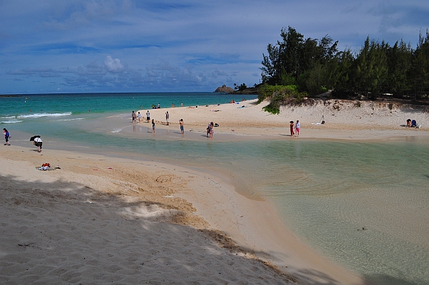 DSC_3916~0.jpg