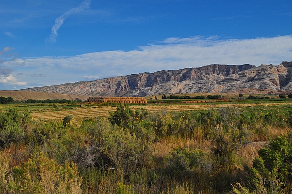 DSC_3999.jpg