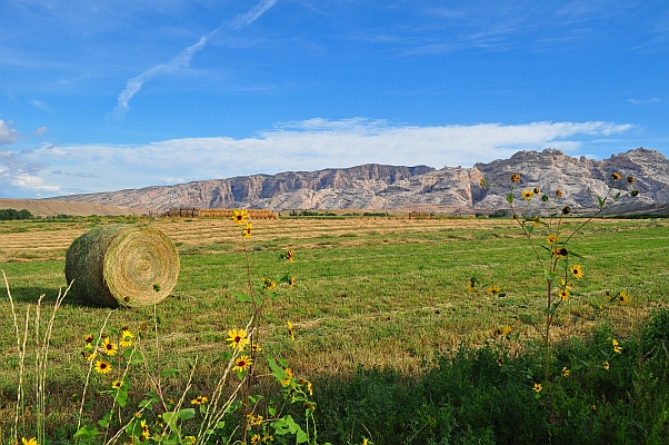 DSC_4001.jpg
