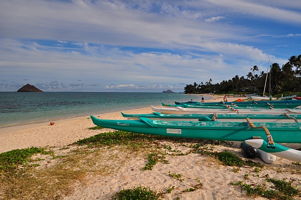 DSC_4027.jpg