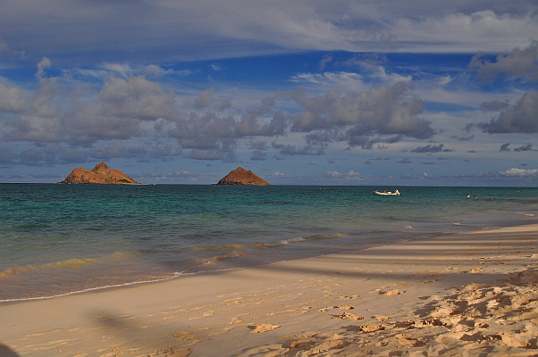 DSC_4036.jpg