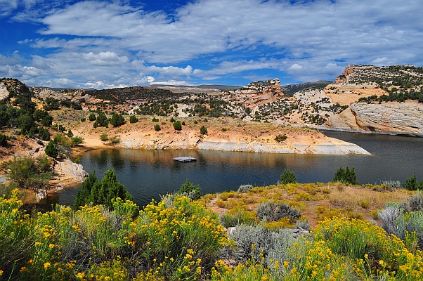 DSC_4130p.jpg