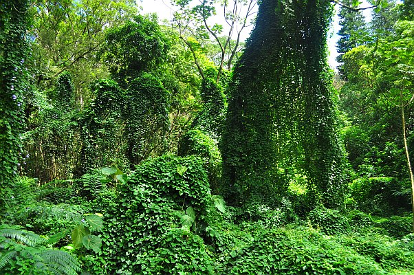 DSC_4305.jpg